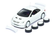 Peugeot 307 WRC Rally Spec